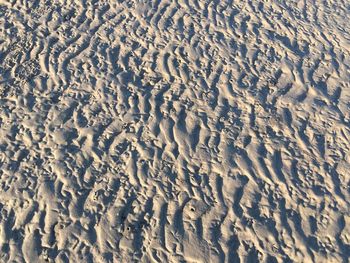 Full frame shot of sandy beach