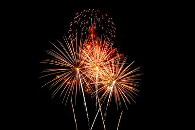 Low angle view of firework display against sky at night