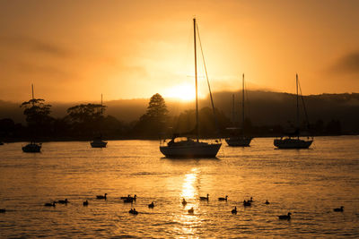 Silhouette sailboats in sea against sky during sunset