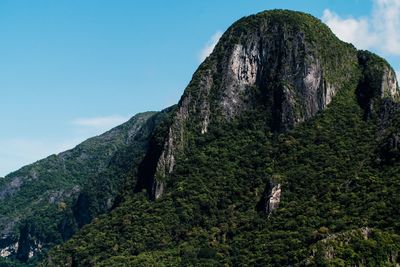 Low angle view of horse on mountain against sky