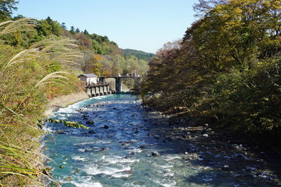 Bridge over river amidst trees against sky