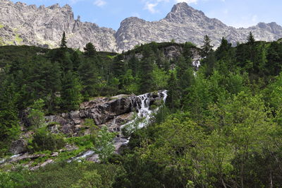 Scenic view of waterfall on mountain