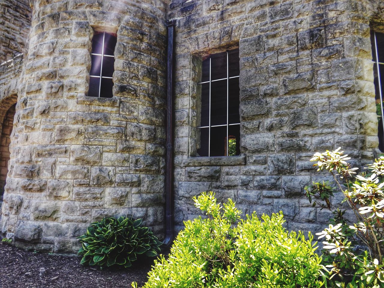 architecture, built structure, building exterior, window, stone wall, brick wall, old, plant, wall - building feature, house, abandoned, weathered, building, damaged, growth, day, no people, wall, outdoors, residential structure