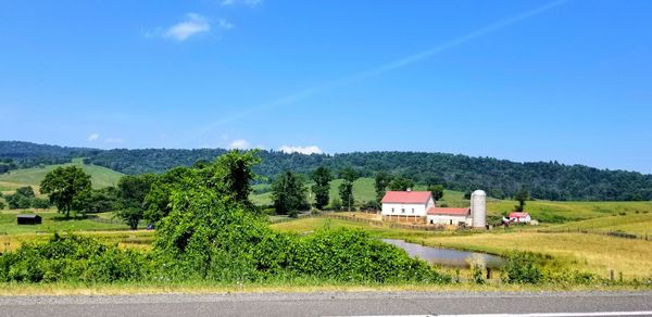 Scenic view of landscape against blue sky