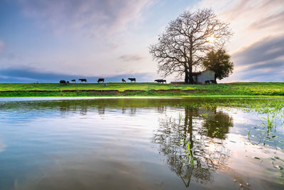 Scenic view of lake against sky