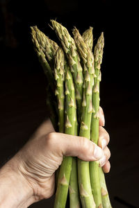 Close-up of hand holding vegetables against black background