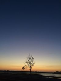 Silhouette tree on field against sky during sunset