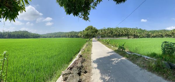 Scenic view of land against sky