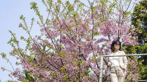 Portrait of young woman with pink cherry blossoms against trees