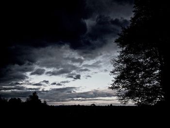 Silhouette of trees against cloudy sky