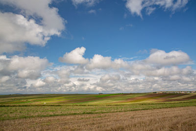 Scenic view of agricultural field against sky