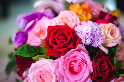 Close-up of rose bouquet
