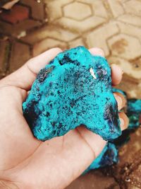 Close-up of hand holding leaf