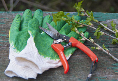 High angle view of pruning shears and gardening gloves on table