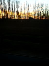 Silhouette trees against sky during sunset