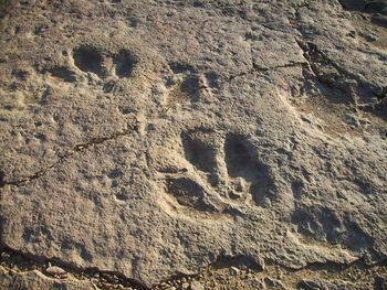 High angle view of footprints on sand at beach