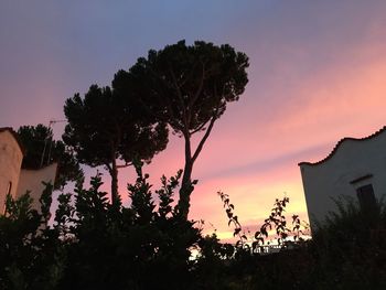 Silhouette of trees against sky at sunset