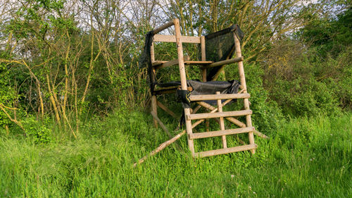 Empty bench in forest