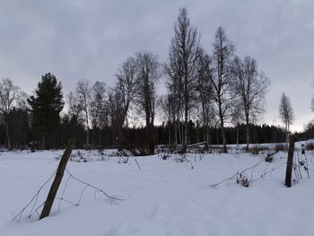 Trees on snow covered field against sky