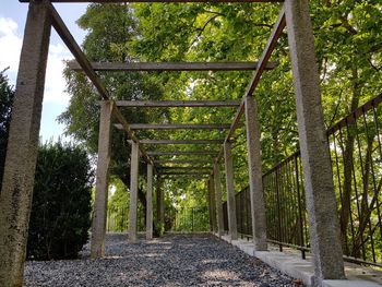 Walkway amidst trees in park