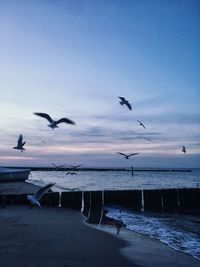 Seagulls flying over sea against sky