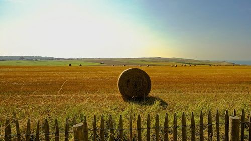 Hay bales on field against clear sky