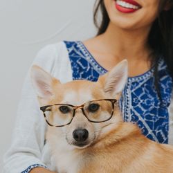 Portrait of dog in eyeglasses with smiling woman against wall at home