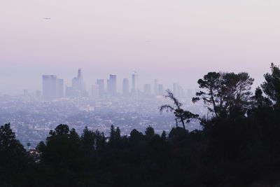 Trees and buildings in city against sky during sunset