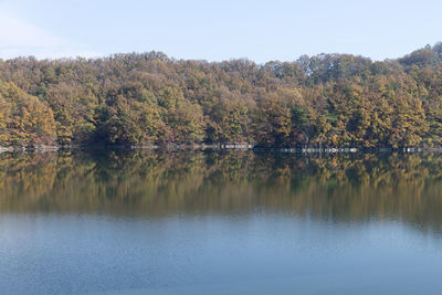 Scenic view of lake by trees against clear sky