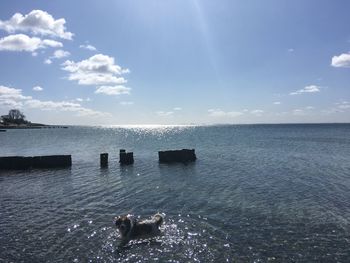 Scenic view of sea against sky