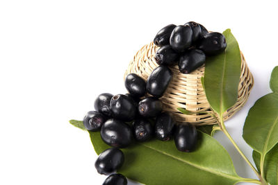 Close-up of black fruit against white background