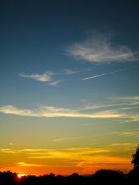 Silhouette of trees at sunset