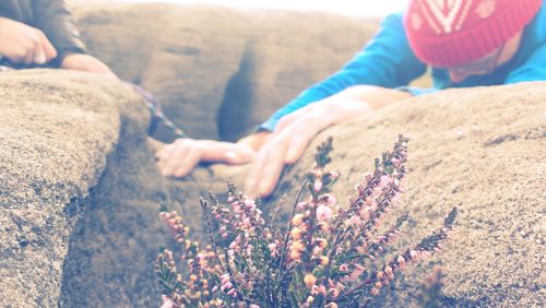 Cropped image of friends climbing on mossy rocks