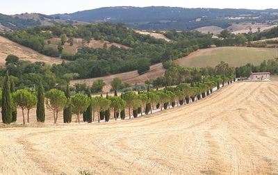 Panoramic view of landscape against sky