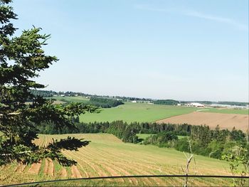 Scenic view of agricultural field against sky