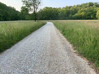 Empty road amidst trees on field