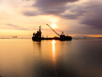 Silhouette of cranes at sunset