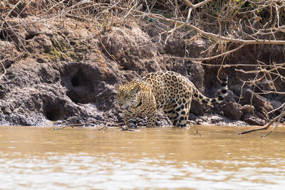 View of a drinking water