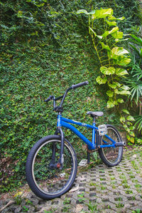 Bicycle against trees
