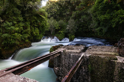 River flowing through forest