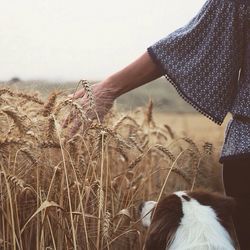 Midsection of owner and dog on wheat field against clear sky