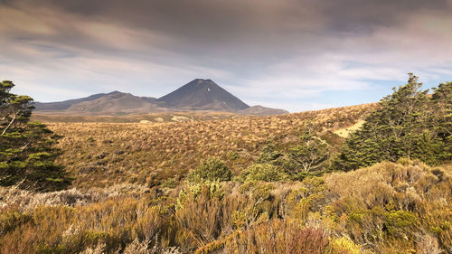 Scenic view of landscape against sky