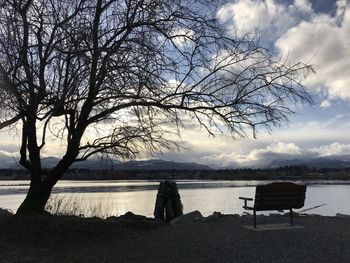 Silhouette tree on bench by sea against sky