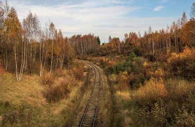 Railroad track amidst trees against sky during autumn