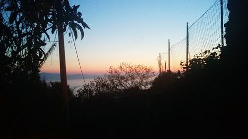 Silhouette trees by sea against sky during sunset