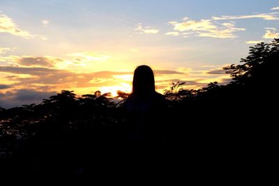 Silhouette of trees at sunset