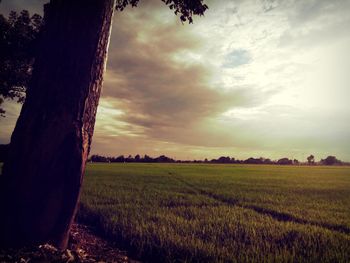 Scenic view of field against cloudy sky