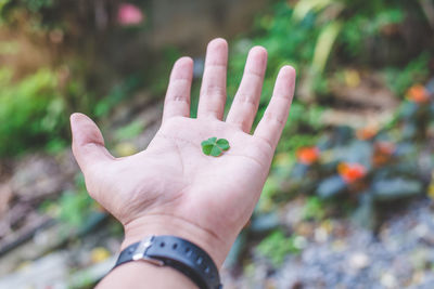 Close-up of person hand holding leaf against blurred background