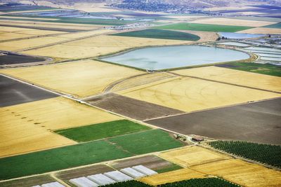 Close-up of agricultural fields