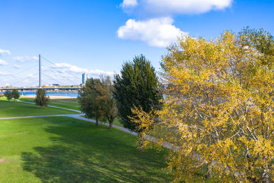 Trees on field against sky during autumn